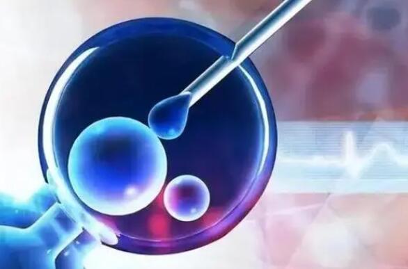 鲜胚移植和冻胚移植的优点分享，了解二者之间的区别
