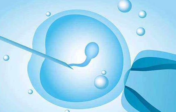 缺乏孕酮有哪些影响，试管婴儿胚胎移植之后有必要补充孕酮吗
